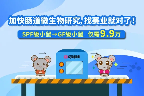 应用无菌小鼠构建肠道微生物人源化小鼠模型