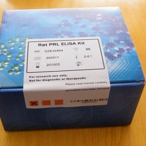 小鼠α-酮戊二酸依赖性双加氧酶alkB同系物3(ALKBH3)elisa试剂盒