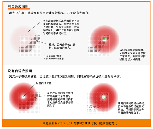 Infinity Line-STED超高分辨率显微镜