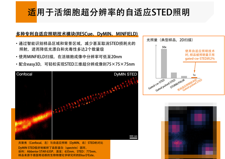 Infinity Line-STED超高分辨率显微镜