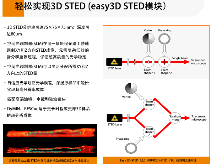 Infinity Line-STED超高分辨率显微镜