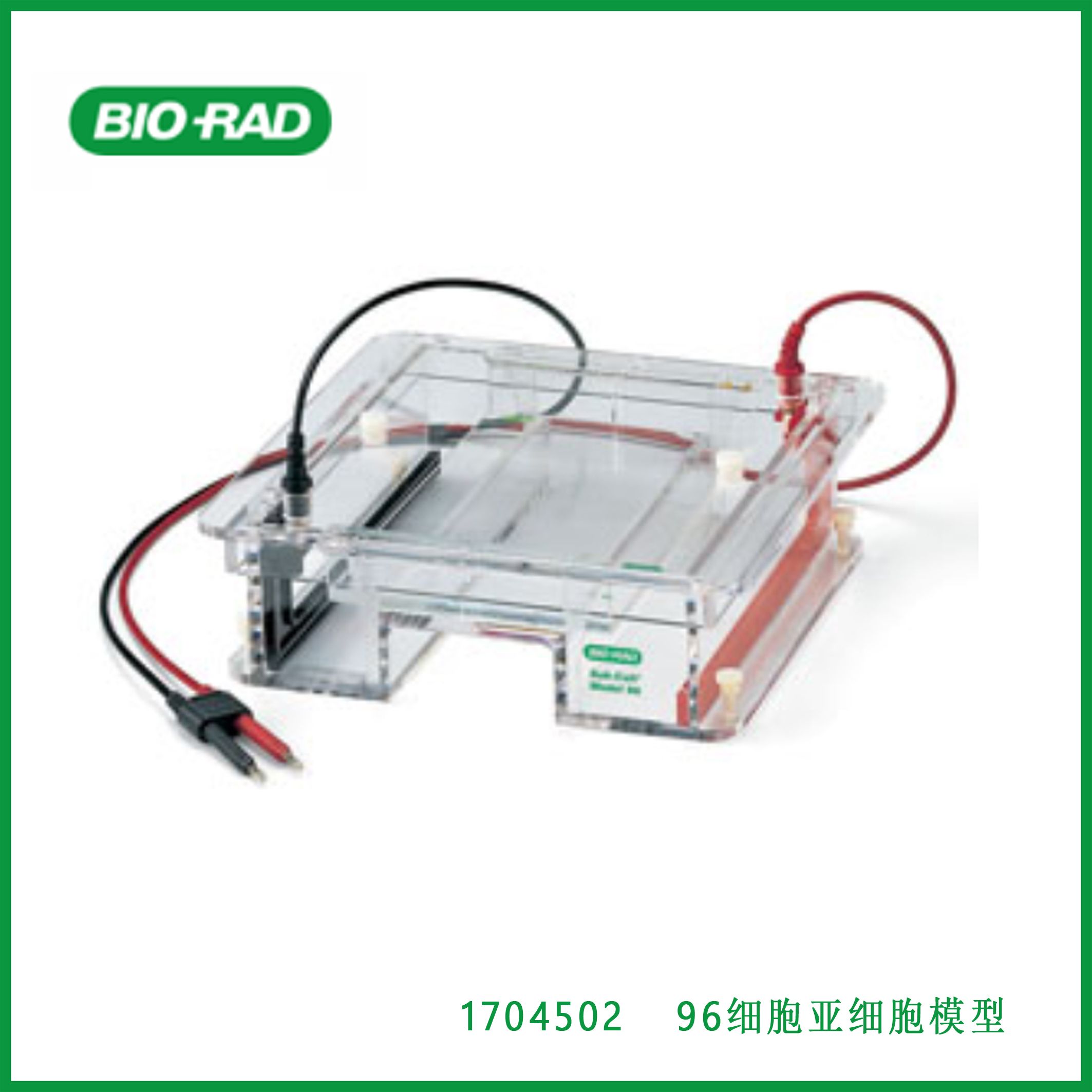 伯乐Bio-Rad1704502Sub-Cell Model 96 Cell Sub-Cell Model 96型电泳槽，现货