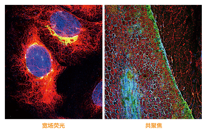 产品细节图片13