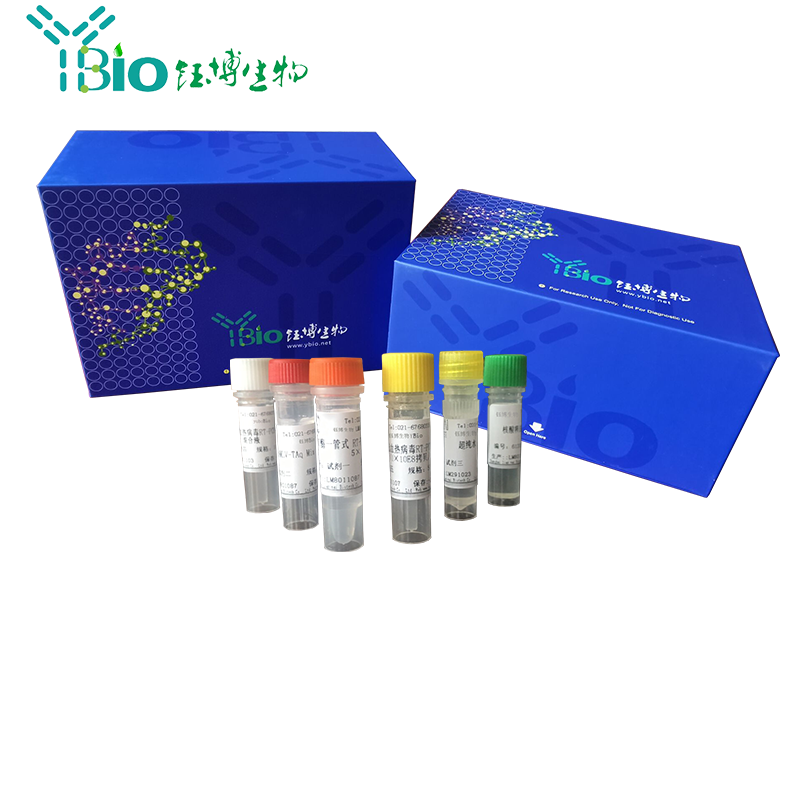 肠出血性大肠杆菌（大肠埃希氏菌）O157血清型LAMP试剂盒