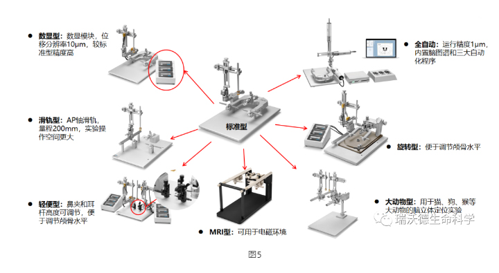 脑立体定位仪知多少?