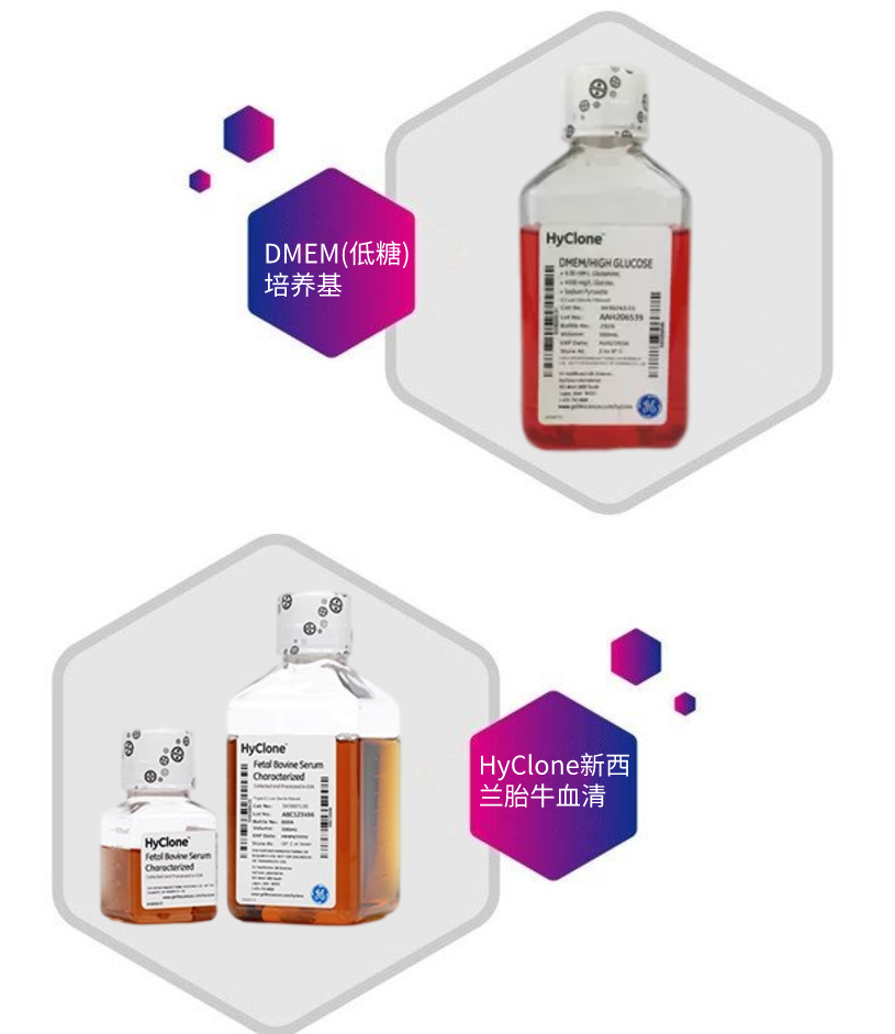HyClone FetalClone I 血清SH30080