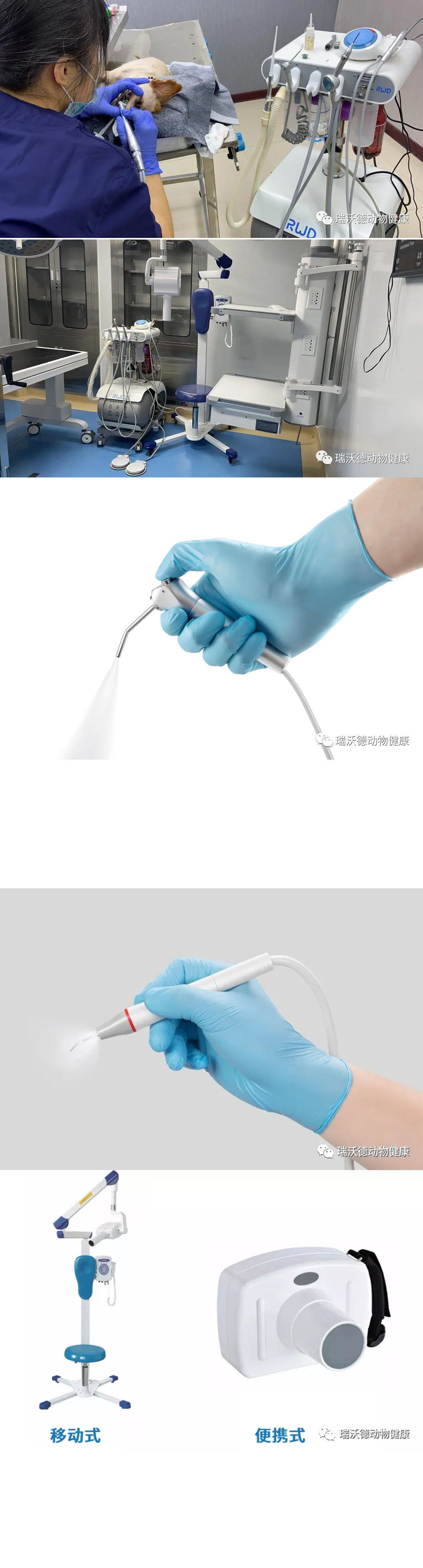 “沃”要逛展会｜瑞沃德邀您赴第13届东西部小动物临床兽医师大会