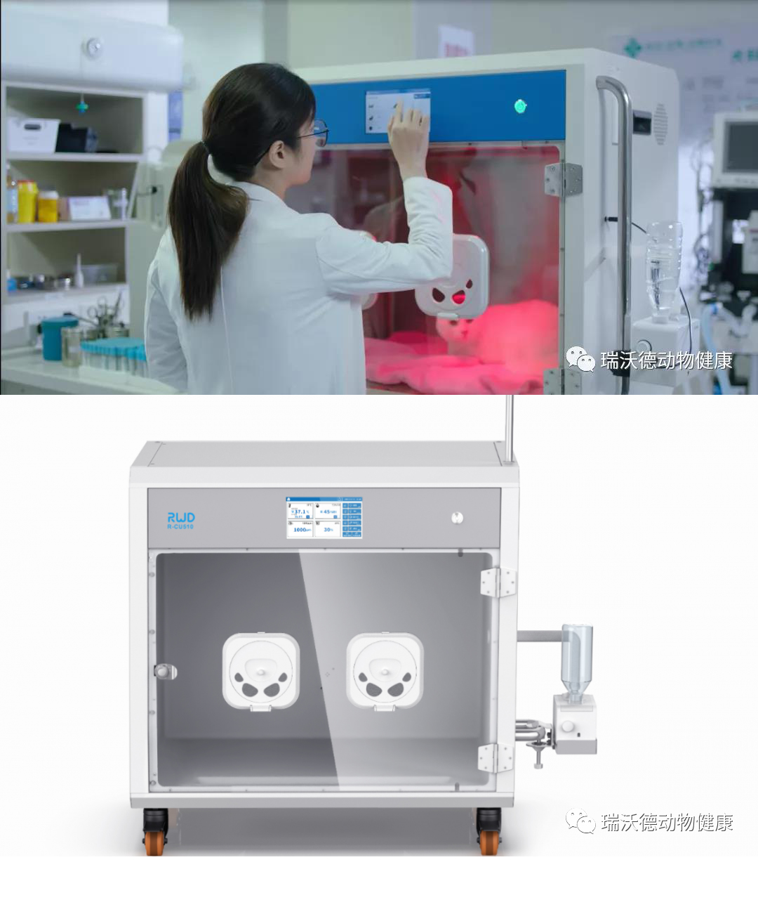 “沃”要逛展会｜瑞沃德邀您赴第13届东西部小动物临床兽医师大会