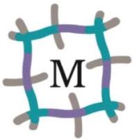 Deferoxamine-maleimide