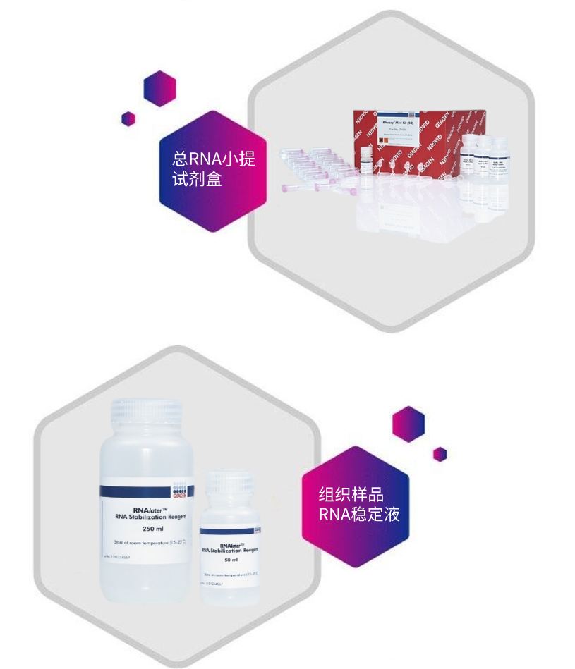 代理：Qiagen全线产品，欢迎来电咨询