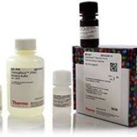 iWestern提效套装