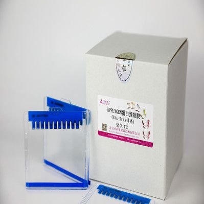 APPLYGEN 蛋白预制胶(8% Bis-Tris MOPS 12孔)+10包MOPS电泳缓冲液 T202101 厂家直销,提供OEM定制服务,大包装更优惠