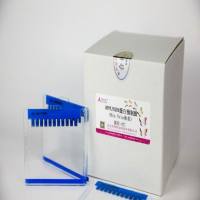 APPLYGEN 蛋白预制胶（10% Bis-Tris MOPS 12孔）+10包MOPS电泳缓冲液   T202103  厂家直销，提供OEM定制服务，大包装更优惠 