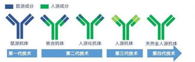 钾离子通道蛋白家族成员4抗体抗体分子标记技术简述