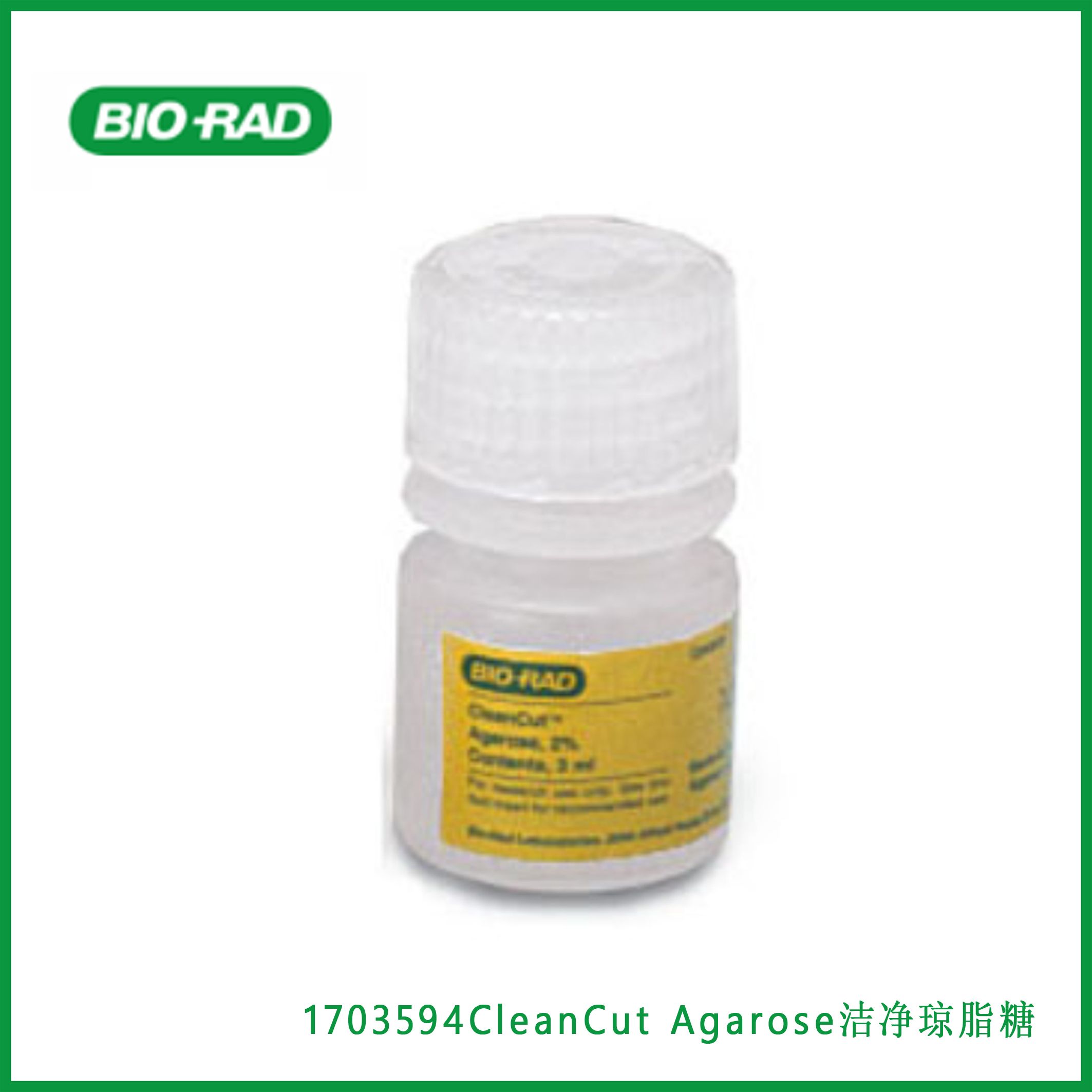伯乐Bio-Rad1703594CleanCut Agarose，洁净琼脂糖，现货