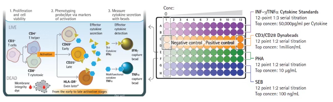 GEN eBook | 病毒学/病毒免疫学的新研究与开发策略