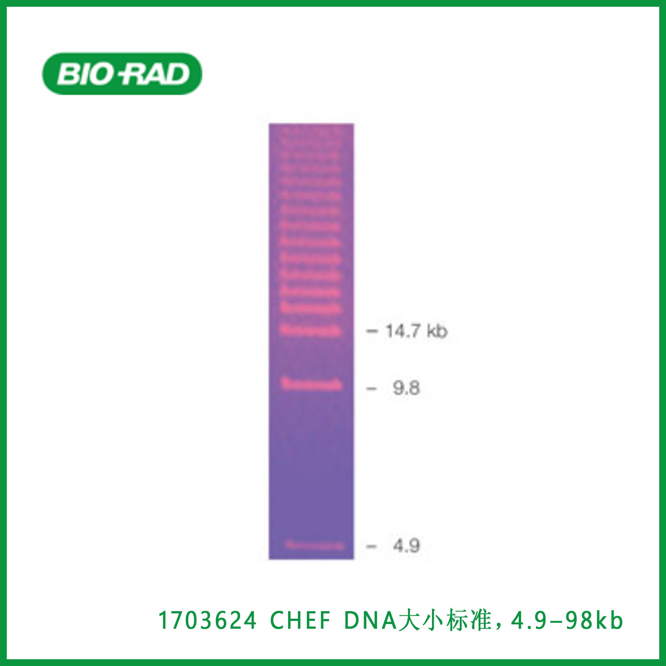 伯乐Bio-Rad1703624CHEF DNA Size Standard, 4.9–98 kb Ladder，CHEF DNA大小标准，4.9–98 kb梯形图，现货