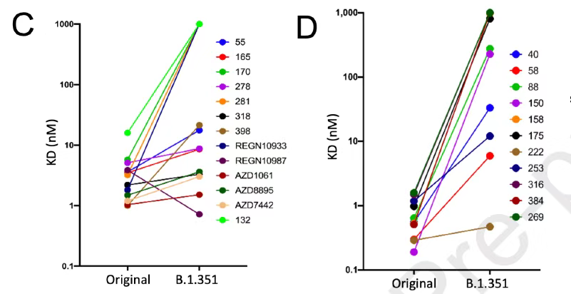从分子互作水平解读，为何新冠突变体传染能力增强？
