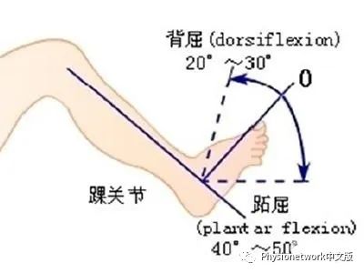 跖屈和背伸图片