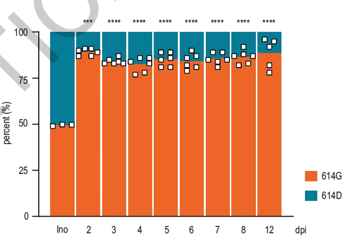 从分子互作水平解读，为何新冠突变体传染能力增强？