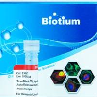TrueBlaCk LipofusCin AutofluoresCenCe QuenCher, 20X in DMF