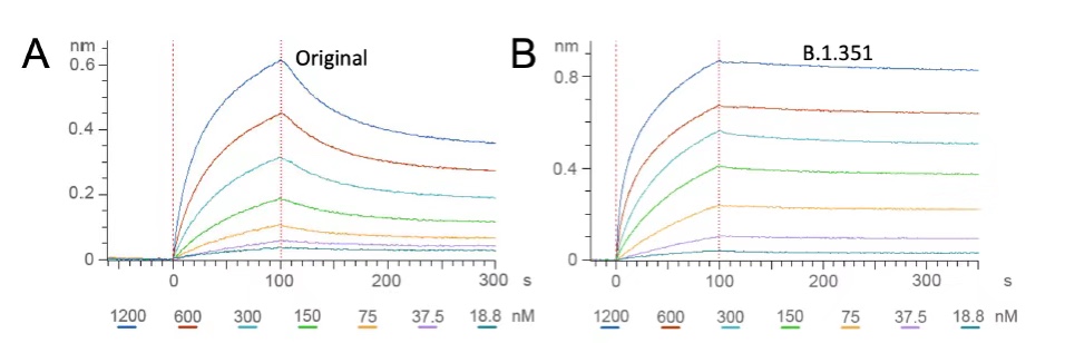 从分子互作水平解读，为何新冠突变体传染能力增强？