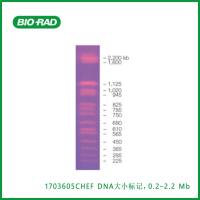 伯乐Bio-Rad1703605 CHEF DNA Size Marker, 0.2–2.2 Mb, S. cerevisiae Ladder，CHEF DNA大小标记，0.2–2.2 Mb，酿酒酵母，现货