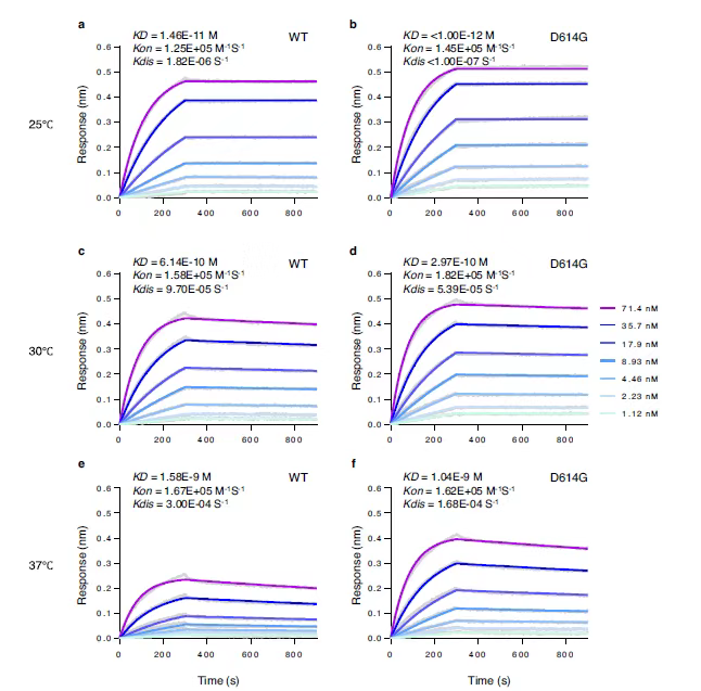 从分子互作水平解读，为何新冠突变体传染能力增强？