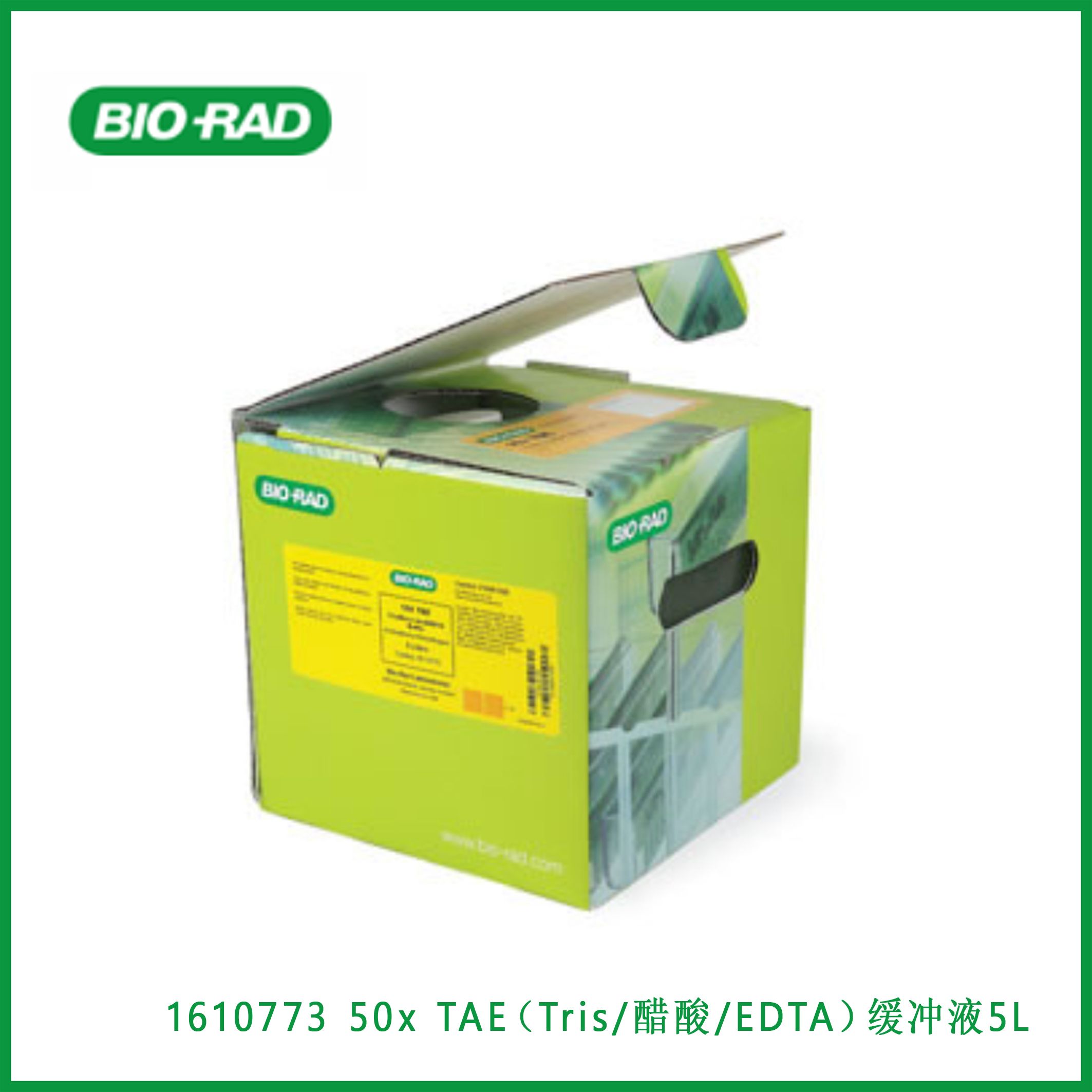 伯乐Bio-Rad1610773 50x TAE (Tris/Acetic Acid/EDTA) Buffer, 5 L，50x TAE（Tris/醋酸/EDTA）缓冲液，5升，现货