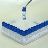 小鼠肠微粒体 Mouse Intestinal Microsomes