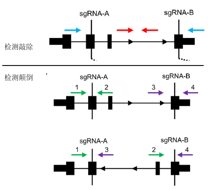 新闻图片3