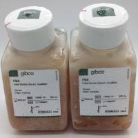 Gibco澳洲胎牛血清10099-141