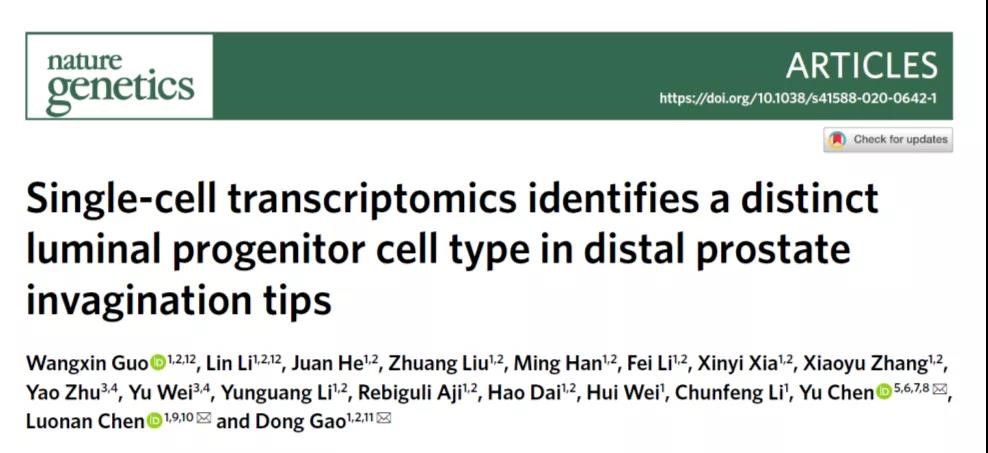高分利器｜当单细胞测序遇到基因修饰小鼠……