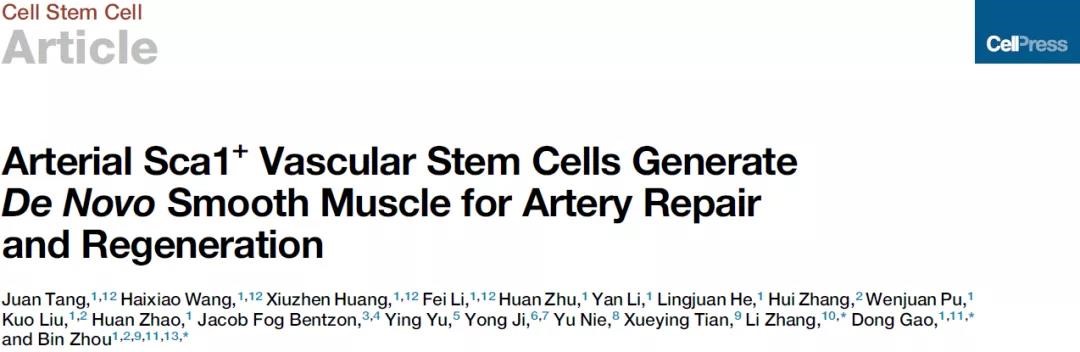 高分利器｜当单细胞测序遇到基因修饰小鼠……