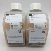 Gibco新西兰胎牛血清10091-148