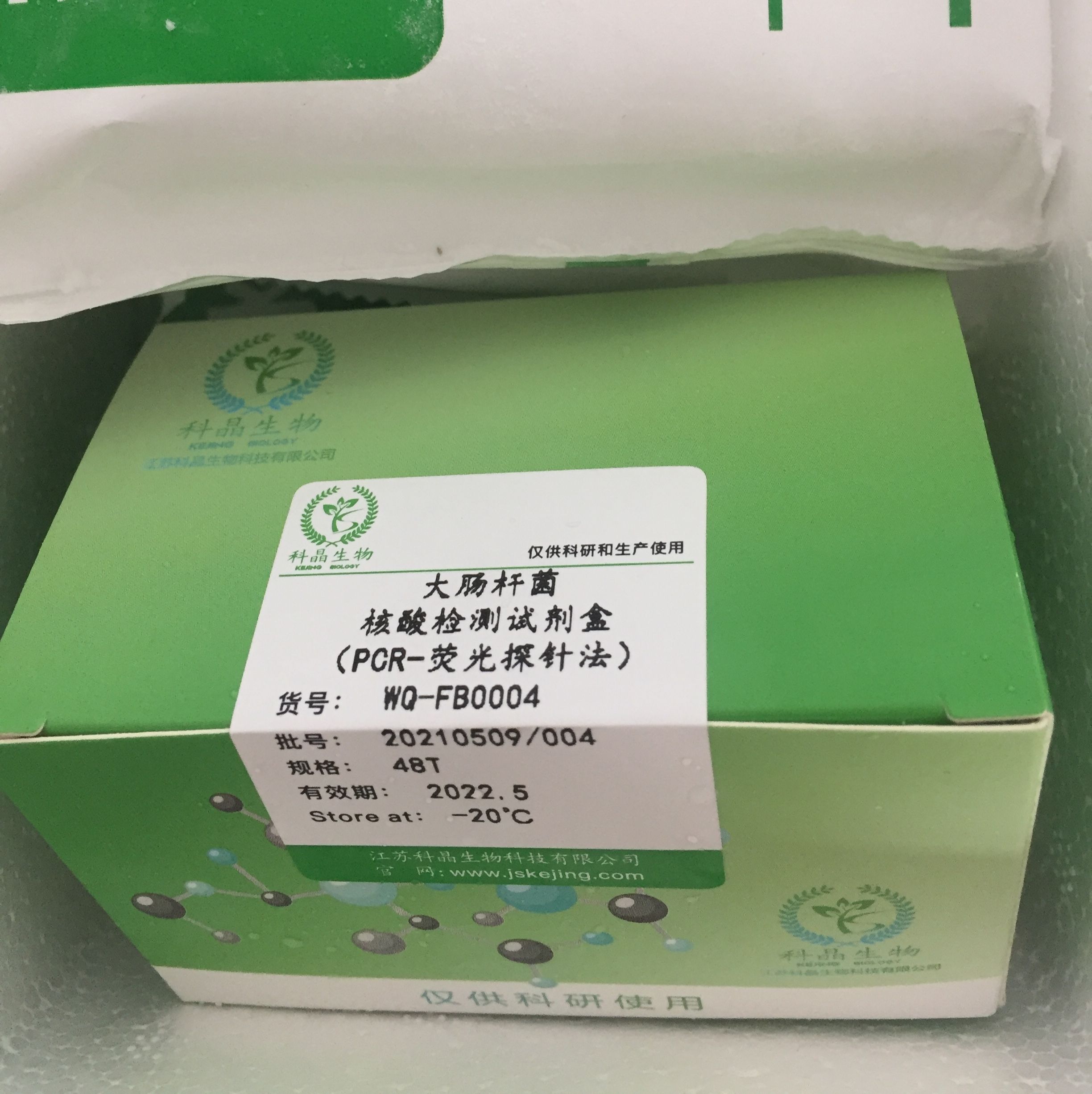 大肠杆菌核酸检测试剂盒（PCR-荧光探针法）