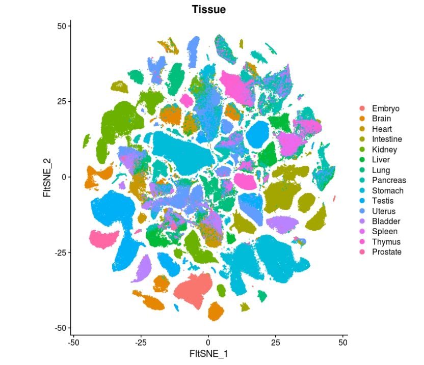 高分利器｜当单细胞测序遇到基因修饰小鼠……