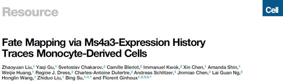 高分利器｜当单细胞测序遇到基因修饰小鼠……