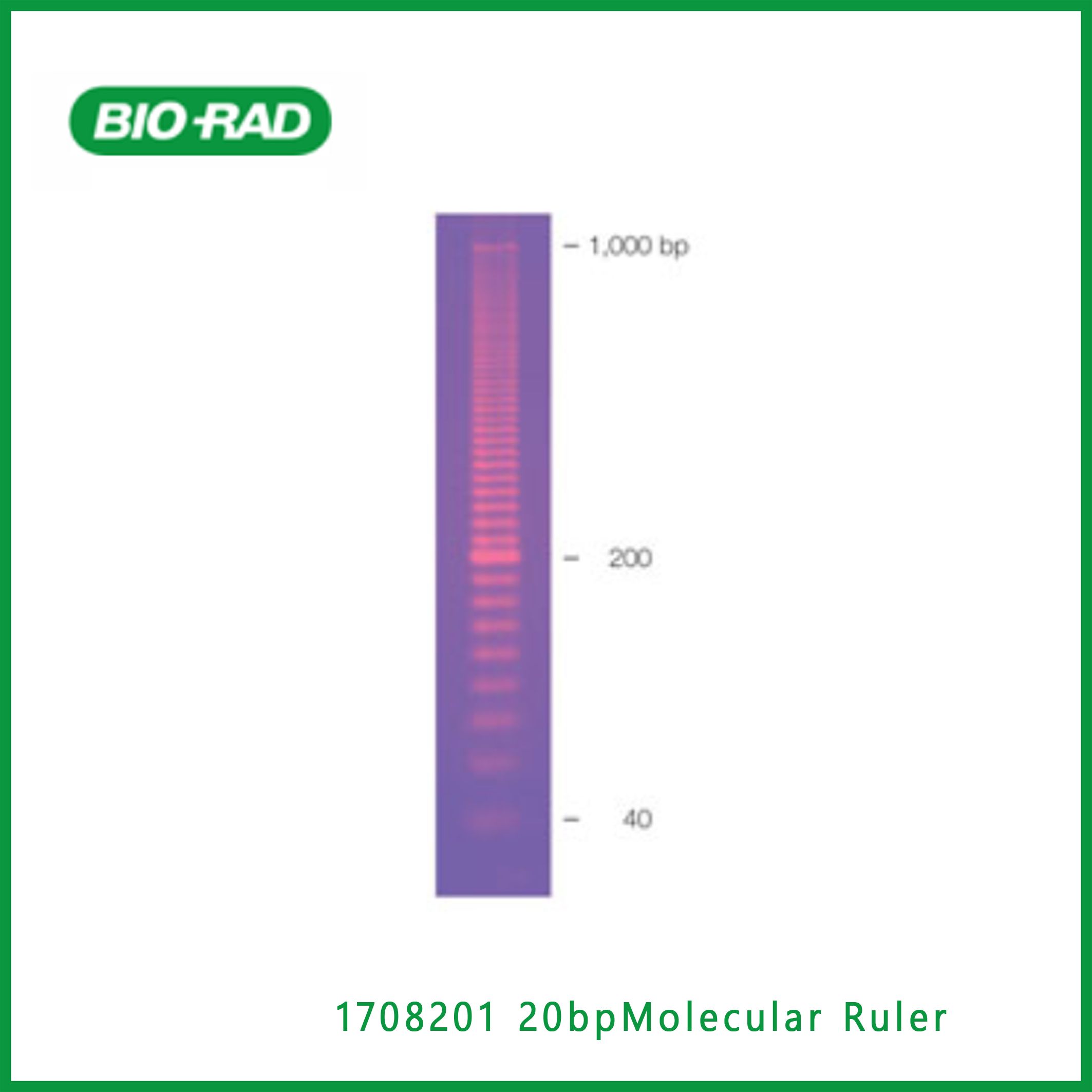 伯乐Bio-Rad1708201 20 bp Molecular Ruler， 20bp分子尺，现货