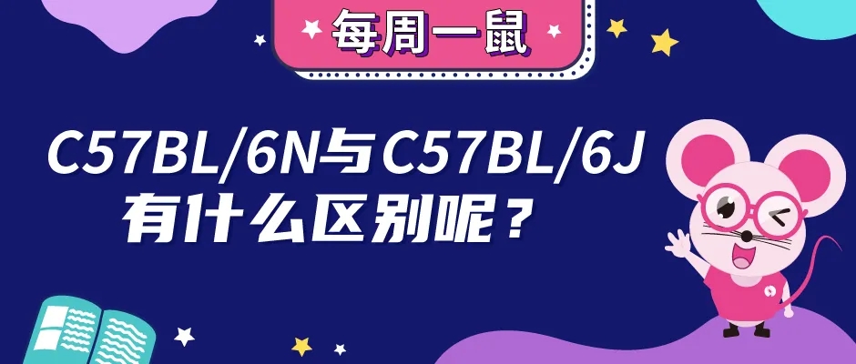 C57BL/6N与C57BL/6J小鼠的区别