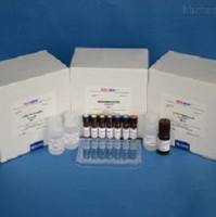 猪泛素羧基端酯酶L1(UCHL1)ELISA试剂盒