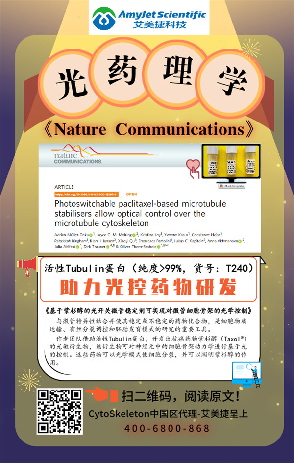 高纯度活性Tubulin蛋白