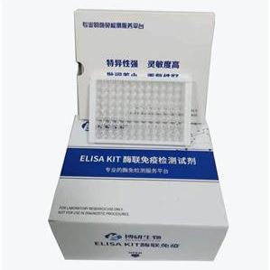 大鼠免疫球蛋白G（IgG）ELISA试剂盒