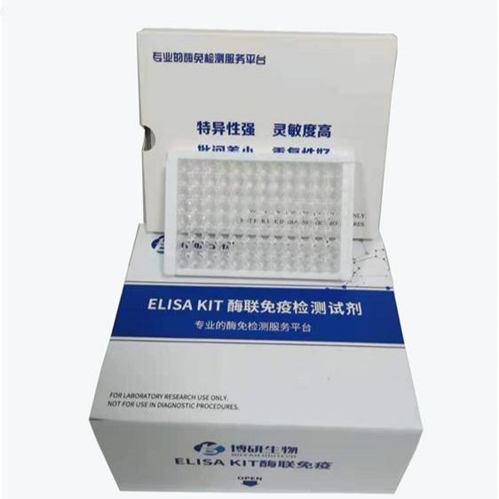 人白细胞介素6（IL-6）ELISA试剂盒