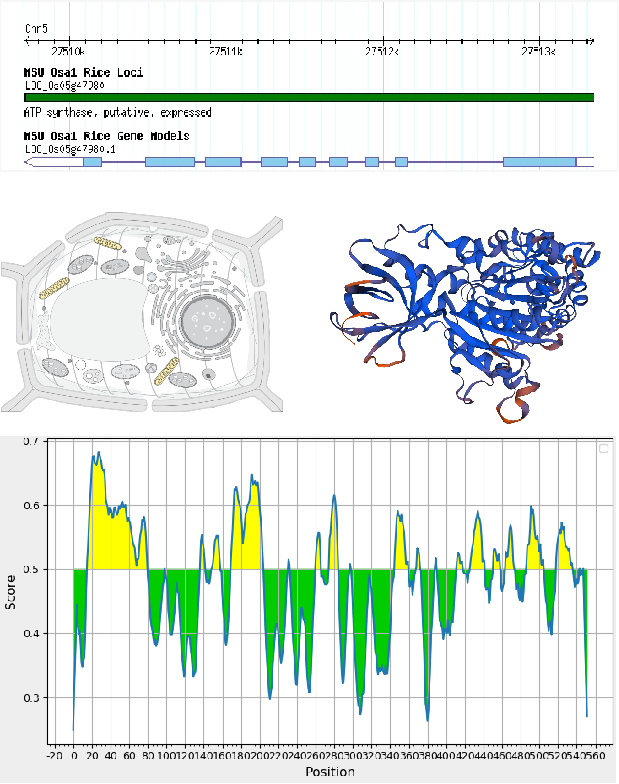 Plant Antibody|植物基因功能研究的“螺旋桨”