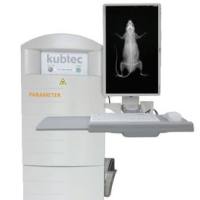 小动物体成份分析仪（DXA）