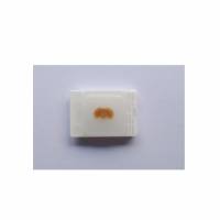 组织包埋与切片