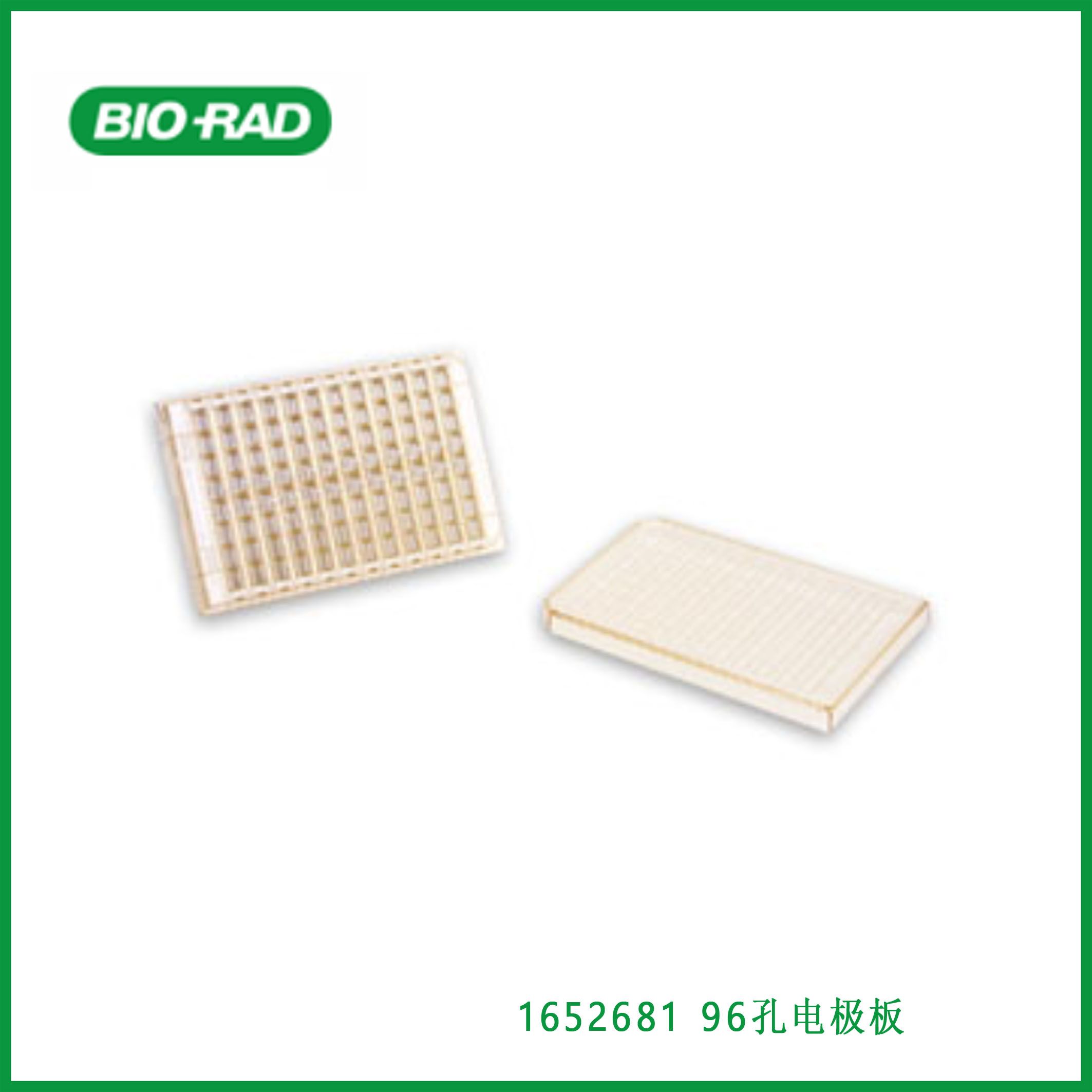 伯乐Bio-Rad1652681 96-Well Electroporation Plate。96孔电极板,现货