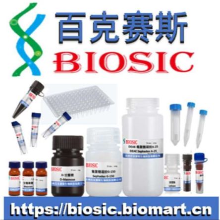 瑞氏-姬姆萨复合染色液