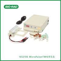 伯乐Bio-Rad1652100 MicroPulser Electroporator,MicroPulserTM电穿孔仪,现货